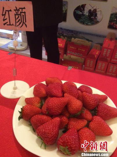 福建“以螨治螨”技术助安徽草莓告别农药
