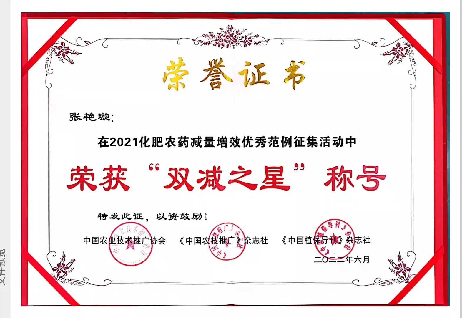双减之星称号