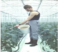 在蔬菜上应用方法1